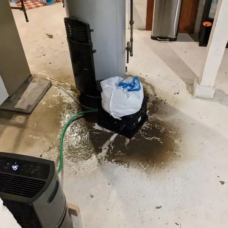 Sewage Backup Cleanup Service in Manawa, WI